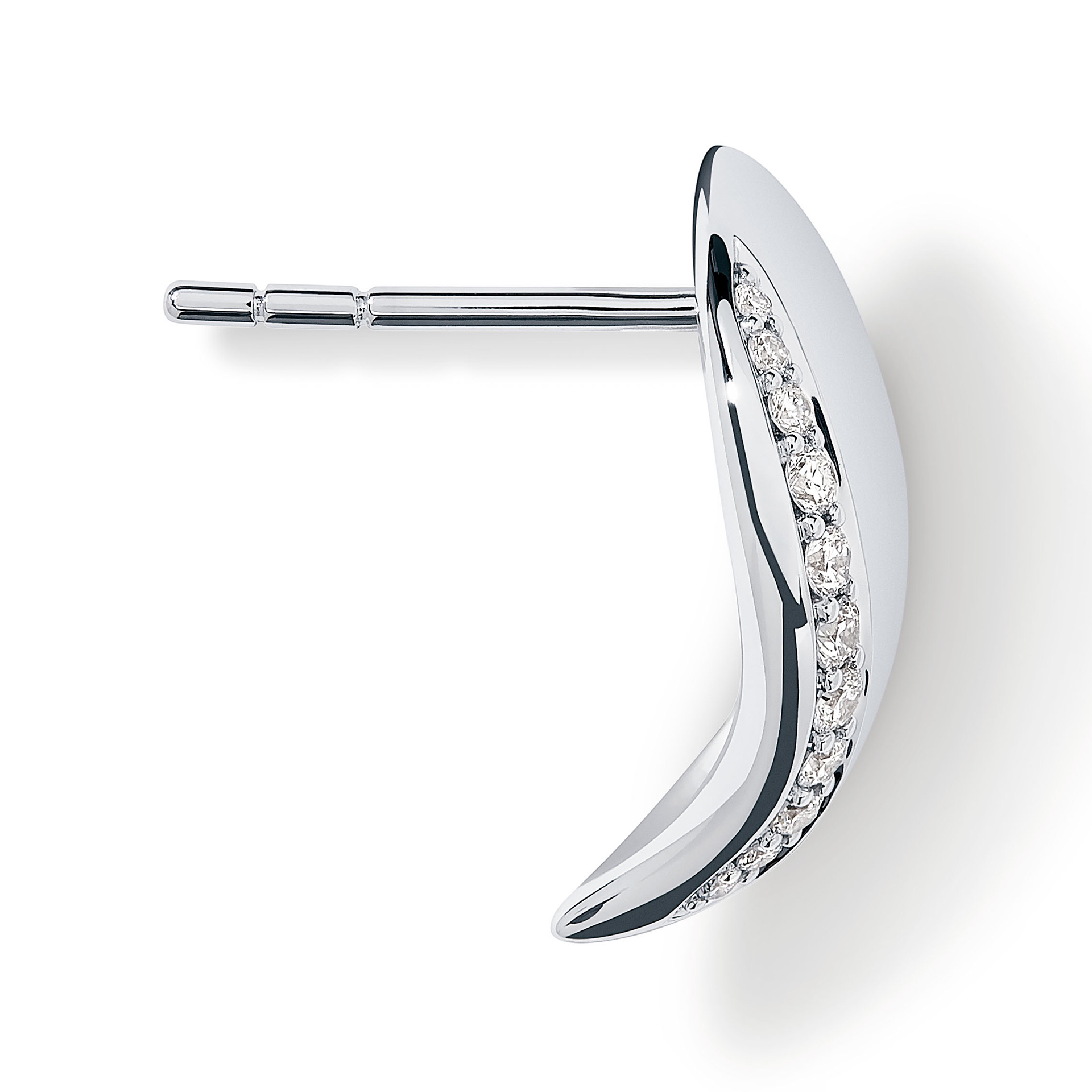 Ohrschmuck Signature Wave