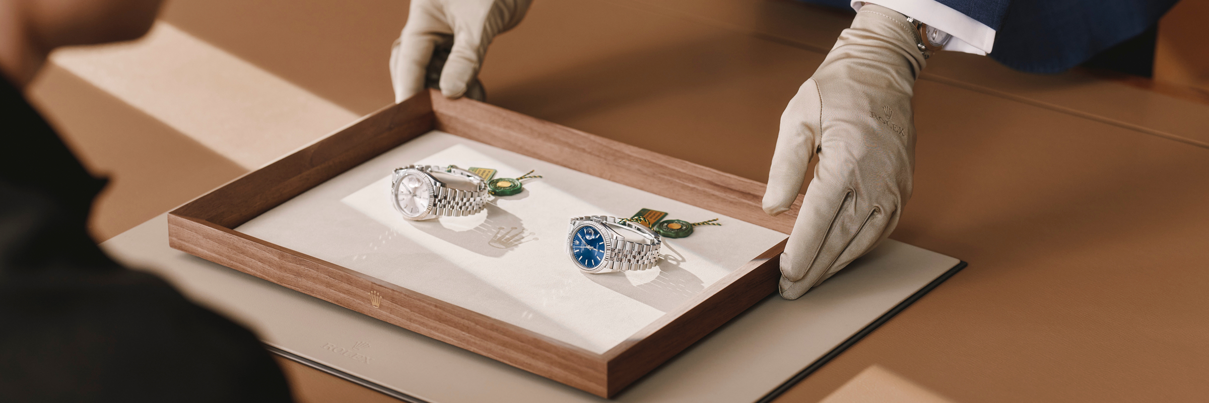 discover-rolex-contact-elmt_2603fg_041-landscape_(1)