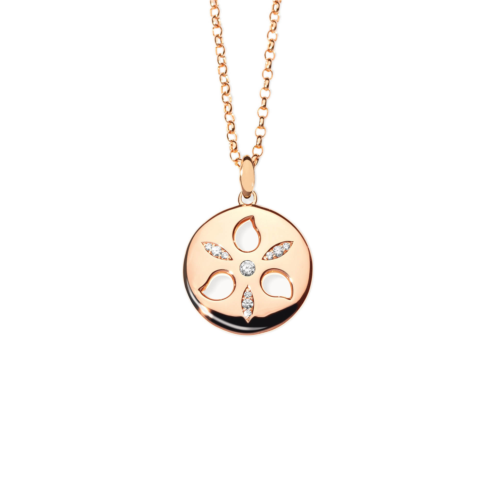 Anhänger Sand Dollar medium