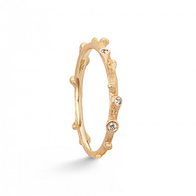 Ring Nature Ring Nature