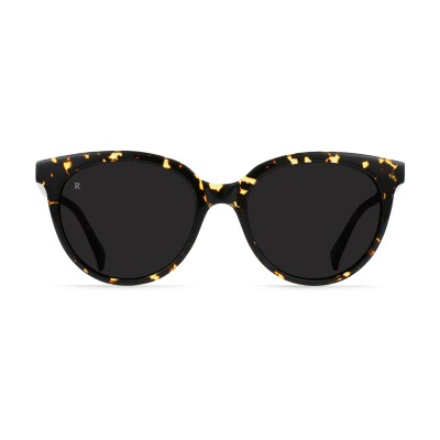 lily cosmos tortoise 5418 lily cosmos tortoise 5418