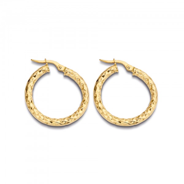 Ohrschmuck Chunky Hoops