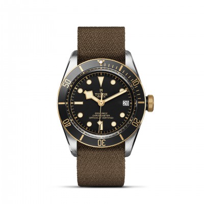 TUDOR Black Bay S&G