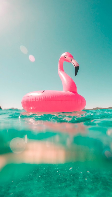 media/image/Flamingo-Schwimmreifen-Hunke-Sonnenbrille.jpg